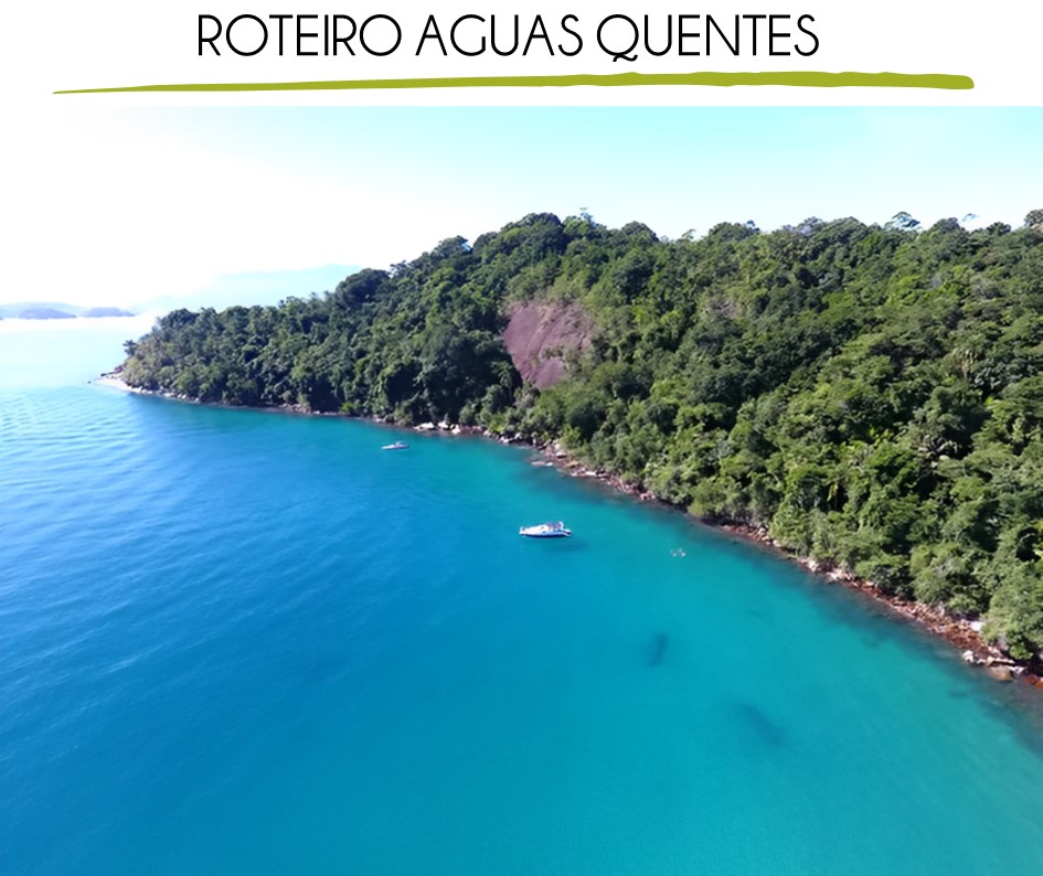 Logo Passeios Náuticos_Terceira opção-1 (3).JPG